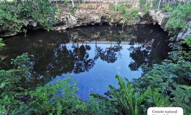 Casa con con jardín, alberca, Casa Club, cenote y Area de juegos, Allegranza, Playa del carmen.
