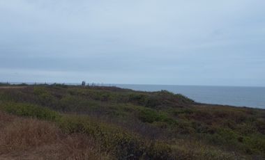 En venta terreno de 10,500 m2 al pie del mar en Engabao en Playas. (JP)