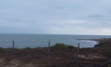 En venta terreno de 10,500 m2 al pie del mar en Engabao en Playas. (JP)