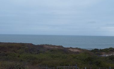 En venta terreno de 10,500 m2 al pie del mar en Engabao en Playas. (JP)