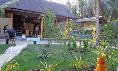 Attention all Investors and Resort Enthusiasts! Sale Beachfront Resort - Siargao