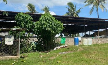 Farm Lot for Sale at Carcar City, Cebu