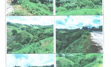 Sta. Rosa-Tagaytay Road Commercial Lot For Sale