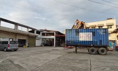 8189 sqm Lot for sale in Casuntingan, Mandaue City