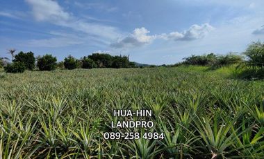 16-0-50 Rai | Hot! Bargain Priced Land  Perfect Plot For New Home Development!