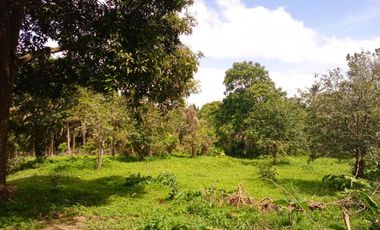 Farm lot for sale 500 sqm with Cool weather