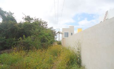 Se Renta Terreno en Cancun 5,000m2 atrás de Santa Fe Plus cerca de Av. Huayacán