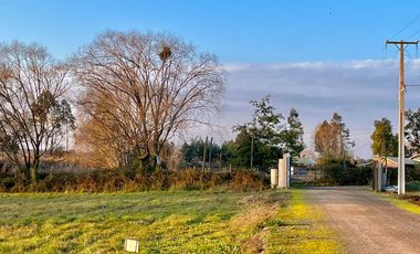 En Venta Parcelas de Terreno de 5000 M2 en Séptima Región