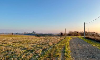 En Venta Parcelas de Terreno de 5000 M2 en Séptima Región