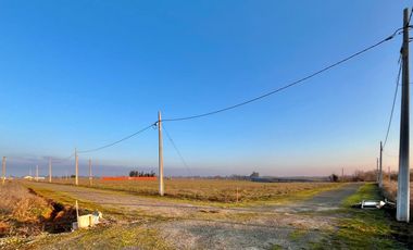 En Venta Parcelas de Terreno de 5000 M2 en Séptima Región
