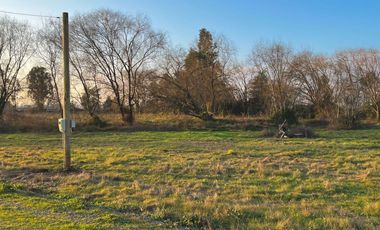 En Venta Parcelas de Terreno de 5000 M2 en Séptima Región