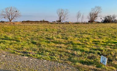 En Venta Parcelas de Terreno de 5000 M2 en Séptima Región