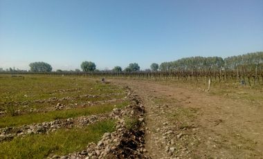 2024/510    VENTA LOTEO PARCELACION SANTA ELENA SAN CLEMENTE