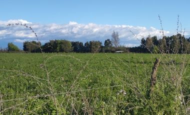 2024/510    VENTA LOTEO PARCELACION SANTA ELENA SAN CLEMENTE