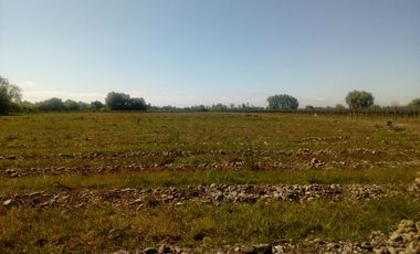 2024/510    VENTA LOTEO PARCELACION SANTA ELENA SAN CLEMENTE