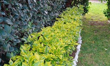 CASA EN CONDOMINIO. BARRIO DE SAN JUAN. QUERETARO