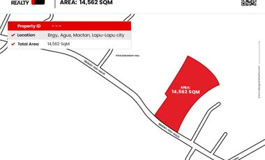 14562 SqM Lot for Sale in Agus Mactan Lapu-Lapu