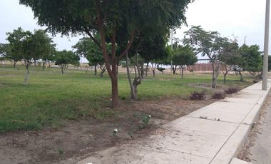 TERRENO EN VENTA – CONDOMINIO - LAS COLINAS DE PIURA
