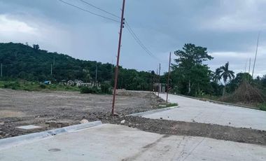 Residential lot 267 sqm- for sale in Richwood Bogo Cebu