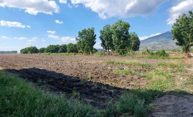 3.4 Hectares Agricultural Land For SALE in Arenas Arayat Pampanga