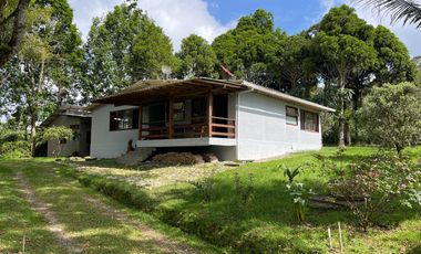 Casa campestre en venta - Filandia
