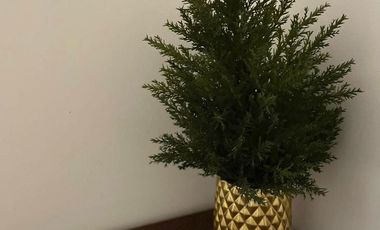 Pent House en renta amueblado en La Victoria