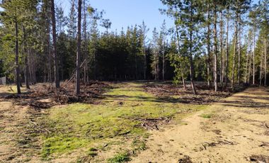 PARCELA ROL UNICO - FACTIBILIDAD DE LUZ Y AGUA - SEXTA REGION