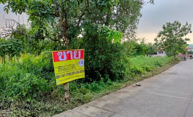 ขายที่ดินติดถนนรอบ เนื้อที่ 290 ตร.วา