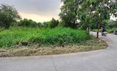 ขายที่ดินติดถนนรอบ เนื้อที่ 290 ตร.วา
