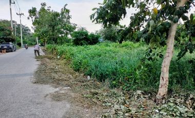 ขายที่ดินติดถนนรอบ เนื้อที่ 290 ตร.วา