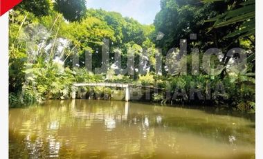 SE VENDE ESPECTACULAR FINCA - RIVERA (HUILA -COL)