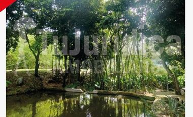 SE VENDE ESPECTACULAR FINCA - RIVERA (HUILA -COL)