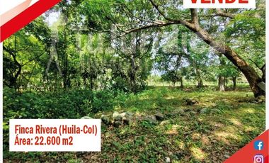 SE VENDE ESPECTACULAR FINCA - RIVERA (HUILA -COL)