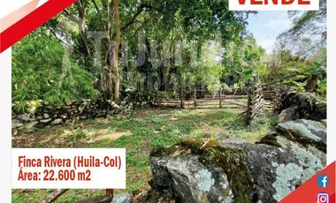 SE VENDE ESPECTACULAR FINCA - RIVERA (HUILA -COL)