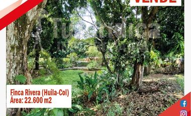 SE VENDE ESPECTACULAR FINCA - RIVERA (HUILA -COL)