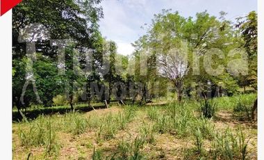 SE VENDE ESPECTACULAR FINCA - RIVERA (HUILA -COL)