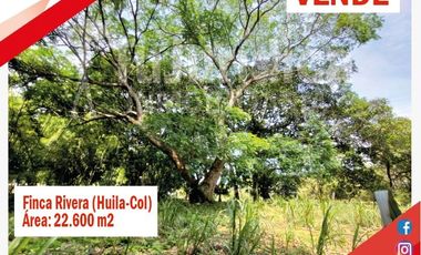 SE VENDE ESPECTACULAR FINCA - RIVERA (HUILA -COL)