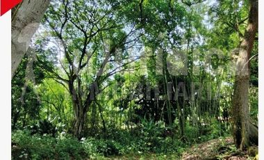 SE VENDE ESPECTACULAR FINCA - RIVERA (HUILA -COL)