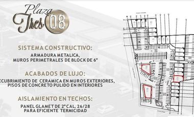 SE RENTAN LOCALES EN PLAZA COMERCIAL 308 POR AVE. DE LA RAZA