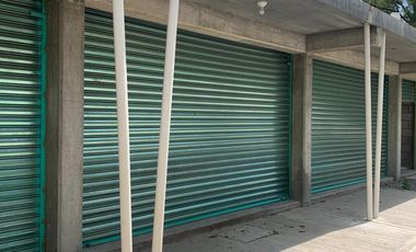 LOCALES COMERCIALES EN RENTA
