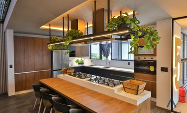 Departamento BE LOCAL