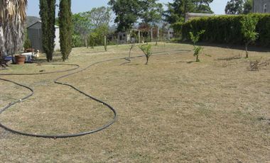 BONITO RANCHO DE 11 HAS. EN CURUNGUEO MUNICIPIO DE ZITACURO MICH. CON ARBOLES DE GUALLABA.