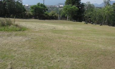 BONITO RANCHO DE 11 HAS. EN CURUNGUEO MUNICIPIO DE ZITACURO MICH. CON ARBOLES DE GUALLABA.