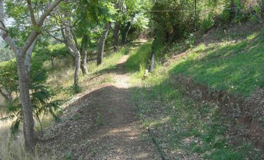 BONITO RANCHO DE 11 HAS. EN CURUNGUEO MUNICIPIO DE ZITACURO MICH. CON ARBOLES DE GUALLABA.