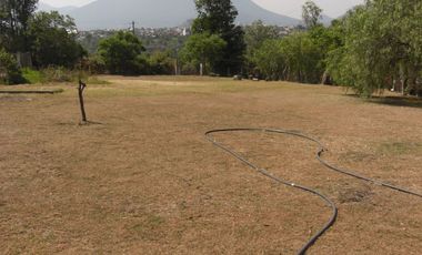 BONITO RANCHO DE 11 HAS. EN CURUNGUEO MUNICIPIO DE ZITACURO MICH. CON ARBOLES DE GUALLABA.