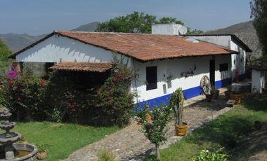 BONITO RANCHO DE 11 HAS. EN CURUNGUEO MUNICIPIO DE ZITACURO MICH. CON ARBOLES DE GUALLABA.