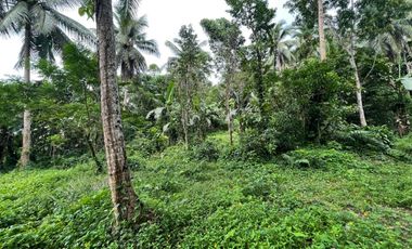 For Sale: 21,148 SQM Agricultural or Farm Land in Sariaya, Quezon