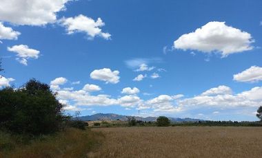 Vendo Campo en Huerta de Maule – San Javier V 1461-540-LR-12.22