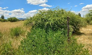 Vendo Campo en Huerta de Maule – San Javier V 1461-540-LR-12.22