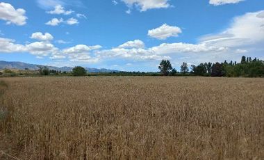 Vendo Campo en Huerta de Maule – San Javier V 1461-540-LR-12.22